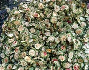 Melón Amargo Saborizado de Buena Calidad a Granel para Exportación - Product Image 3