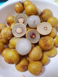 Longanes entières surgelées KMI IQF, emballage sous vide en vrac du Vietnam, durée de conservation de 24 mois, 1 kg - Product Image 6