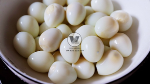 HIGH QUALITY Eco Friendly Bulk Canned Quail <b>Eggs</b> in Brine Cooked Peeled Quail <b>Egg</b> Ready to Eat Asian Hotpot Soup Catering Use - Product Image 6