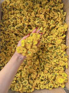 ดอกเดซี่ดอกเบญจมาศแห้งชาธรรมชาติ - Product Image 2