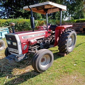 Tractor de Ruedas Massey Ferguson 260, Económico, Confiable, Gran Potencia de Tracción, Motor Yunnei, Bomba de Engranajes, Trabajo Agrícola - Product Image 2
