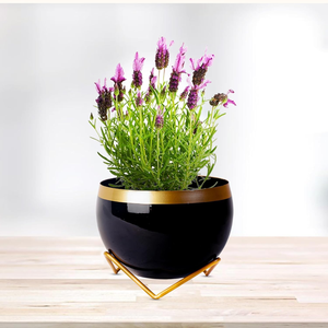 Best Selling Metal Planter Pot Farmhouse Decor Tabletop Iron Rustic Metal Flower <b>Vase</b> Creative Indoor Outdoor Planter Pot - Product Image 1