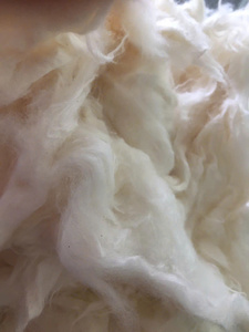 Material de Relleno de Kapok Crudo, Fibra Natural Ecológica, Tela No Tejida para Manualidades, Costura y Proyectos de Hilado - Product Image 1