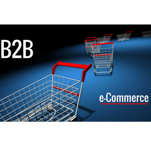 พอร์ทัลการค้า B2B สำหรับลูกค้า  หน้าเว็บ UI UX สถาปัตยกรรมเว็บไซต์  การพัฒนาเว็บไซต์อีคอมเมิร์ซแบบตอบสนองต่ออุปกรณ์  การออกแบบเลย์เอาต์ - Product Image 4