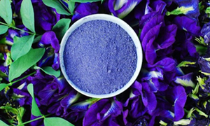 Poudre de fleur de pois papillon, mélange d'ingrédients de thé aux herbes séchées d'Asie du Sud-Est, 100% naturel, approvisionnement en vrac, Vietnam - Product Image 4