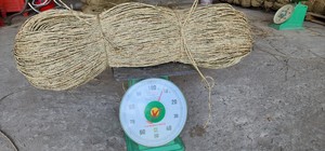 เส้นใยหญ้าทะเลดิบ 99 โกลด์ ดาต้า เวียดนาม สำหรับโรงงานผลิตเฟอร์นิเจอร์และของตกแต่งบ้าน ขายส่ง - CARYLN - Product Image 6