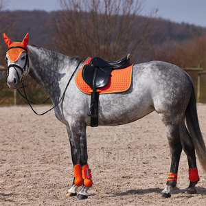 Protège-tendons de cheval haute performance offrant un confort respirant et une protection optimale pour les chevaux - Product Image 2
