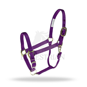 Cabestro de Nailon para Caballo, Ajustable, con Hebilla Metálica, Cabestro Ecuestre Resistente - Product Image 4