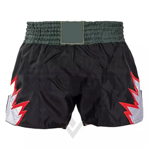 Pantalones Cortos de Muay Thai Personalizados 2026 para Adultos, Profesionales, para Entrenamiento de MMA y Boxeo, con Diseño de Rayo, OEM/ODM Disponible - Product Image 1