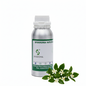 น้ำมันมายร์เทิลเขียวเกรดมืออาชีพสำหรับการใช้งาน B2B ในอุตสาหกรรมน้ำหอม, เครื่องใช้ในห้องน้ำ และผลิตภัณฑ์กลิ่นหอมจากธรรมชาติ - Product Image 1