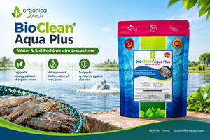 Bioclean Aqua Plus Probiotiques pour l'eau et le sol pour le traitement des étangs d'aquaculture Modèle 001 Origine Maharashtra - Product Image 2