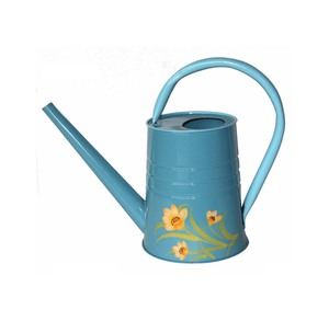 Arrosoir en métal d'inspiration rustique américaine pour plantes d'intérieur et décoration de jardin extérieur - Product Image 5