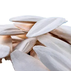 (HOT - SALE) CUTTLEFISH BONE BIG HIGH QUALITY FROM VIETNAM / LARGE QUANTITIES WITH GOOD PRICE FOR EXPORT