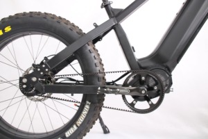 Bicicleta Eléctrica con Transmisión por Correa de 52v 1000w, Motor Central G510, Neumáticos Anchos, con Buje Rohloff de 14 Velocidades - Product Image 2