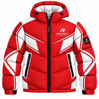 Veste matelassée pour homme de qualité supérieure, chaude et coupe-vent, style sportif avec blocs de couleur, fermeture éclair à capuche, logo frontal, coupe classique