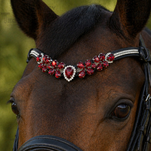 Premium Red Crystal Horse Browband Black Leather Rhinestone Headstall Decorative <b>Equestrian</b> Riding Accessory - Product Image 1