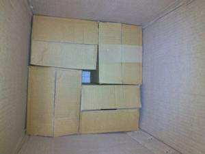 Aceite de ricino refinado de Grado Superior Aceite portador Premium para el cuidado de la piel - Product Image 4