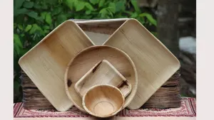 OEM Areca Leaf Plates - Custom Size Biodegradable Palm Leaf <b>Tableware</b> Manufacturer - Product Image 2