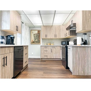 Muebles de Almacenamiento de Pared con Base de Madera, Gabinetes de Cocina Modulares CANA de Alta Calidad, Listos para Armar, Venta al Por Mayor - Product Image 6