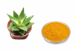 Extracto de Aloe Vera en Polvo, Natural, Herbal, Molido Finamente, para Cuidado de la Piel, Cosméticos, Uso Alimentario, Suministro a Granel, India - Product Image 4