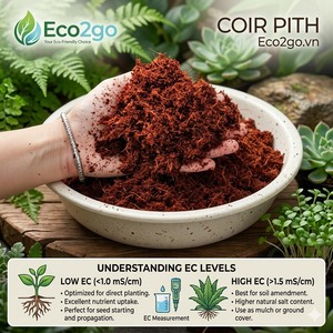 บล็อกใยมะพร้าวธรรมชาติเวียดนาม - วัสดุปลูกออร์แกนิกธรรมชาติ 100% สำหรับการเจริญเติบโตของเมล็ดพันธุ์และการปลูกพืช  เป็นมิตรต่อสิ่งแวดล้อมสำหรับการเกษตรและพืชสวน - Product Image 4