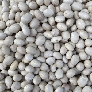Quality Dark Red, Brown, Sugar <b>Beans</b> or Pinto <b>Beans</b>, white Sugar <b>Beans</b> - Product Image 2