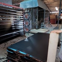 Vente en gros Contreplaqué filmé pour la construction Contreplaqué filmé standard européen prêt à expédier depuis l'usine du Vietnam