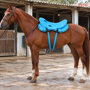 Selle de cheval Azure Endurance, siège incurvé, détails cousus, double sangle, anneau en D |   Selle d'équitation légère et confortable - Product Image 2
