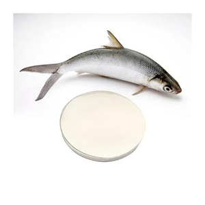 Advanced fish collagen peptides premium grade bulk supply export ready stock - Product Image 1