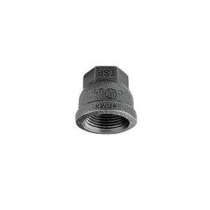 Raccord de tuyauterie en fonte malléable et acier inoxydable, raccord réducteur à douille en acier inoxydable - Product Image 1