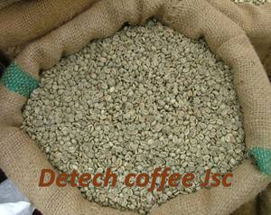 Granos de Café Verde Especiales con Proceso Natural de Son La, Granos de Café de Alta Calidad a Precio Económico en Vietnam - Product Image 4
