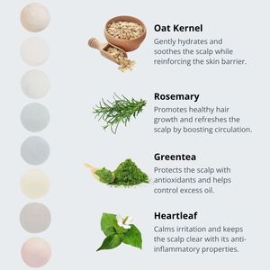 Erigeron แชมพูสำหรับหนังศีรษะที่แห้งและแพ้ง่ายแชมพูก้อนกลมเป็นมิตรต่อสิ่งแวดล้อมไม่มีของเสีย - Product Image 4