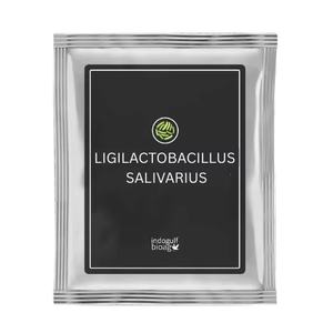 Probiótico en Polvo Ligilactobacillus Salivarius de la Marca IGC para el Apoyo Inmunológico, 5-100 Mil Millones de UFC/g - Product Image 1
