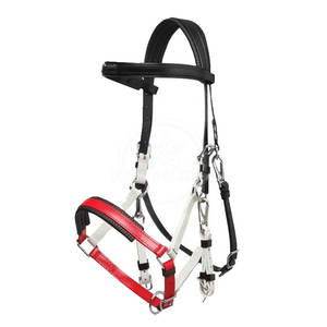 Bridas para Montar a Caballo de Primera Calidad Hechas en Pakistán, Decoración de Cuero para Bridas, Material Duradero Más Vendido - Product Image 1