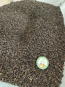 Pimienta negra de Vietnam 550 Gl ASTA Máquina limpia picante caliente con el mejor descuento de precio para la cantidad a granel - Product Image 4