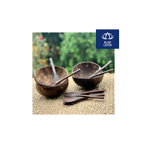 Meilleur Choix : Bol en Coque de Noix de Coco Écologique, Pur et Sûr, Idéal pour Servir des Salades et Stocker des Collations – Vente Directe Usine - Product Image 1