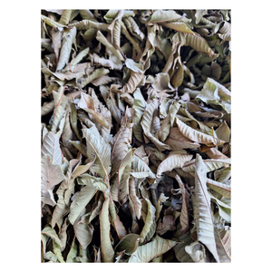 Bolsitas de Té de Hoja de Guayaba Premium, Fabricante de Marca Privada OEM ODM, Empaque Ecológico, Vietnam - Product Image 4