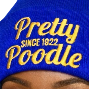 Pretty Poodle Blue Beanie Hat Women Knit Cap Embroidery Winter Warm Skull Cap Casual Stylish Fit - Product Image 4