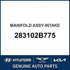Colectores de Admisión Nuevos para Elantra 283102B775 - Product Image 1