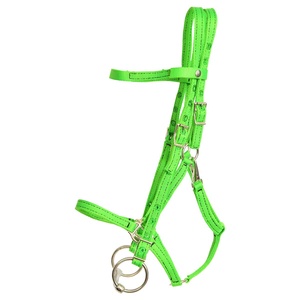 Neon Green Nylon Horse <b>Bridle</b> with Adjustable Straps Stainless Steel Hardware & Bit for Western Riding Equestrian Tack - Product Image 1