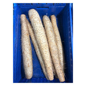 Vendeurs Exceptionnels : Fournisseur de Légumes Frais, Yam Chinois de Qualité Supérieure, Texture Dense, Saveur Riche - Product Image 1