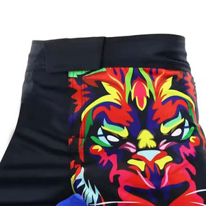Pantalones Cortos de Muay Thai de Poliéster 100% de Alta Calidad, Más Vendidos, para Niños y Adultos, Duraderos y Ligeros, para Entrenamiento de Kickboxing y MMA - Product Image 6