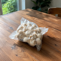 Sacs sous vide de qualité alimentaire sans BPA, sacs d'emballage sous vide PA PE pour la conservation de la viande, du poisson, du poulet et des fruits de mer