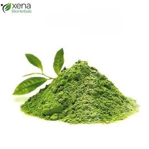 Fabricante Confiable de Extracto Soluble de Hoja de Té Verde, Extracto Vegetal Premium OEM - Product Image 3