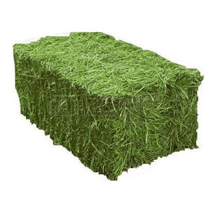 Heno de Alfalfa y Timothy de Grado Alimenticio para Ganado, Caballos, Mascotas y Ovejas, Muestra de 500g - Product Image 3