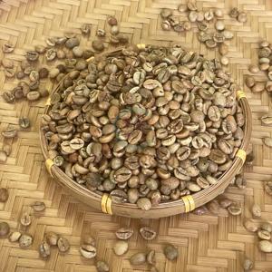Granos de Café Verde Robusta de Grado de Exportación con 90% de Pureza, Calibre 18, Materia Prima Cruda de Baja Coloración Negra para Tostar, Nueva Cosecha, Granja de Vietnam - Product Image 3