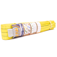 Provina Sangle de levage plate haute résistance 3 tonnes, 2 plis, en sangle polyester, longueur des œillets 16 pouces, longueur personnalisable