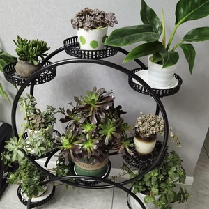 Support de plantes circulaire moderne en fer forgé avec revêtement époxy, 8 pots, pour intérieur et extérieur, support de pot de fleurs en métal, décoration de jardin - Product Image 4