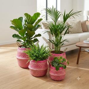 Panier de rangement rond pliable en jonc de mer rose tressé pour la maison, le jardin, le spa, l'hôtel - Product Image 3