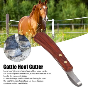 Coupe-ongles pour chevaux et bovins, manche en bois de caoutchouc, 2 pièces, couteau à ongles ovale multifonctionnel pour fermeur de chevaux - Product Image 6